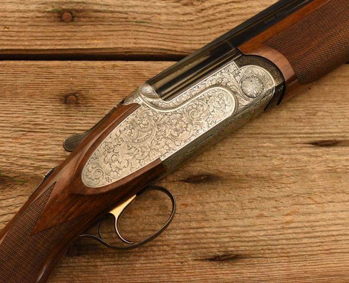 Rizzini, B. Artemis - Coombe Farm