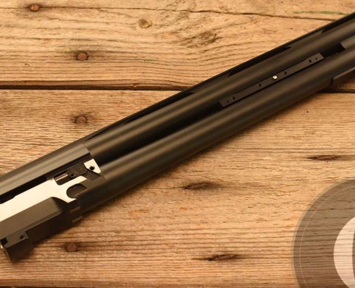 Blaser F3 Professional 12 gauge-0