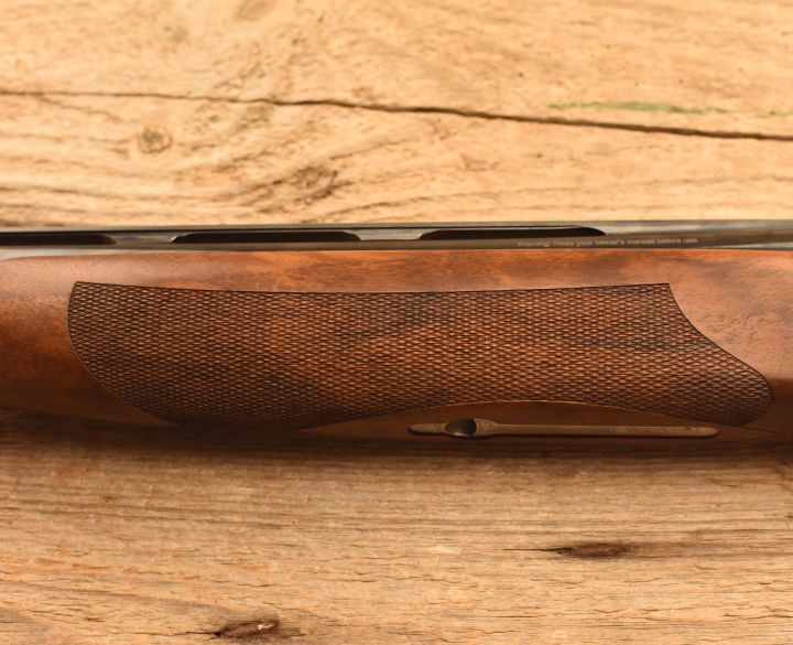 Bettinsoli Tarcisio 12 gauge-5